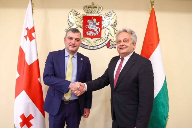 საქართველოს თავდაცვის მინისტრის პირველი მოადგილე უნგრელ კოლეგას შეხვდა
