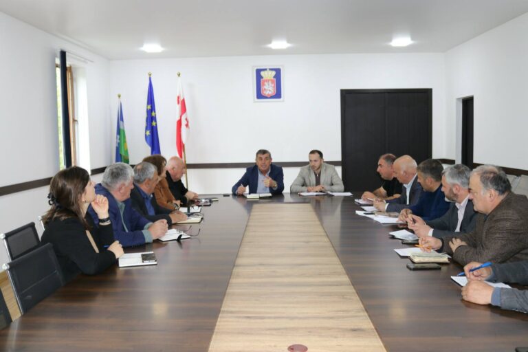 ცაგერის მერიაში ინფრასტრუქტურული პროექტები, სოციალური პროგრამები, დაგეგმილი კულტურული და სპორტული ღონისძიებები განიხილეს