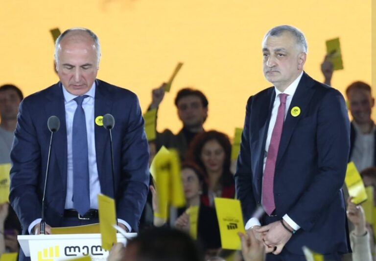 მამუკა ხაზარაძე და ბადრი ჯაფარიძე სასამართლოში თეა წულუკიანის გამოკითხვას ითხოვენ