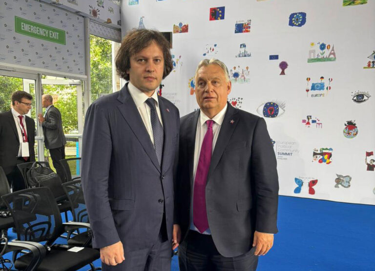 ირაკლი კობახიძე ვიქტორ ორბანს შეხვდა