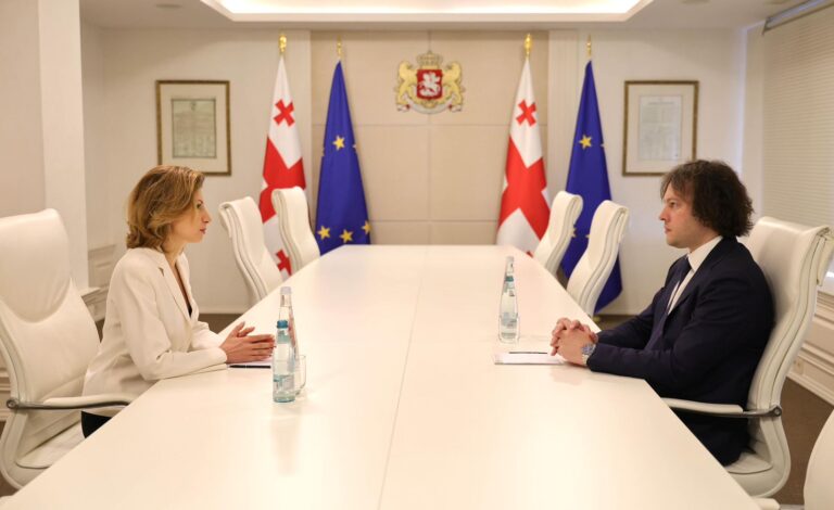 ირაკლი კობახიძე აშშ-სა და უნგრეთში ახლად დანიშნულ ელჩებს, ასევე ევროპის საბჭოში საქართველოს ახალ მუდმივ წარმომადგენელს შეხვდა