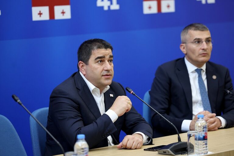 უმრავლესობის წევრებმა სხდომაზე მიგრაციისა და სხვა საკითხები განიხილეს