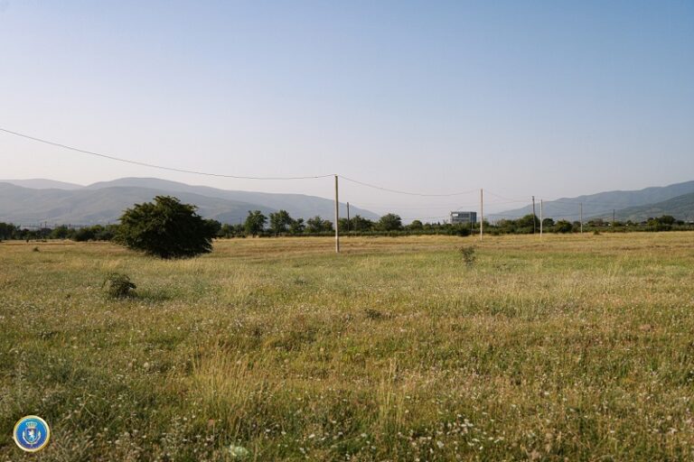 მცხეთა-მთიანეთის რეგიონში, სახელმწიფოს საკუთრებაში არსებული მიწების მოტყუებით დაუფლების ფაქტზე სამი პირი ამხილეს