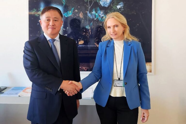 ნათია თურნავა ჩინეთის სახალხო ბანკის პრეზიდენტ პან გონშენგს შეხვდა