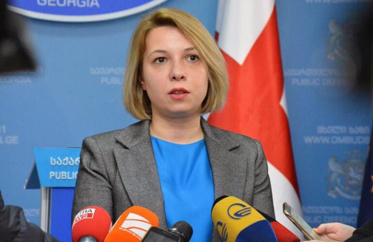 ნინო ლომჯარია: ევროკავშირთან უვიზო მიმოსვლის აღდგენა იმაზე რთული და ხანგრძლივი პროცესი იქნება, ვიდრე მისი შეჩერება