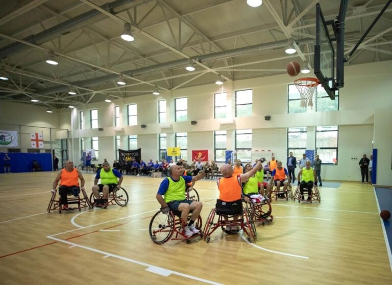 თავდაცვის ძალებში დაჭრილ-დაშავებულთა კვირეული მიმდინარეობს