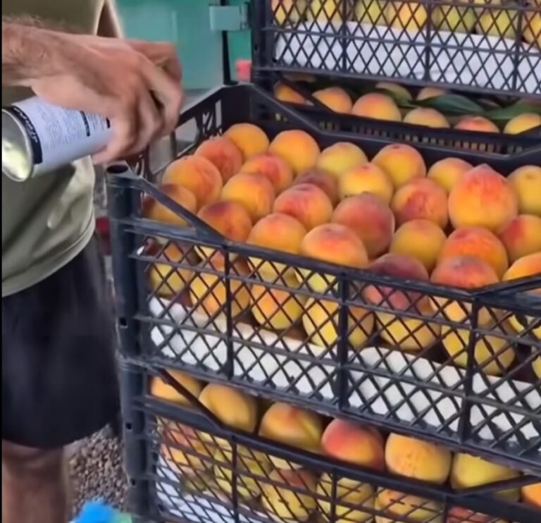 ატმის შეღებვის ფაქტზე იდენტიფიცირებულია გურჯაანის სოფელ ჩუმლაყში მცხოვრები პირი, მოკვლევის ფარგლებში აღებულია ატმის ნიმუშები