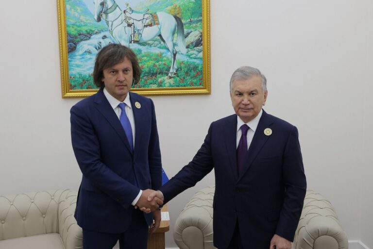 ირაკლი კობახიძე უზბეკეთის პრეზიდენტ შავკატ მირზიოევს შეხვდა