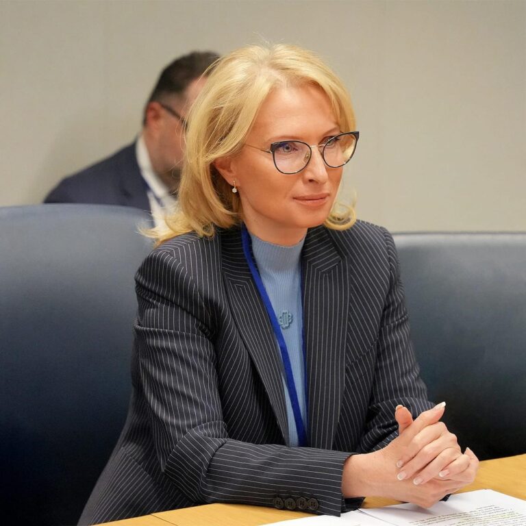 ნათია თურნავა: სავალუტო რეზერვების შესყიდვის თვალსაზრისით, ეს წელი რეკორდული იქნება