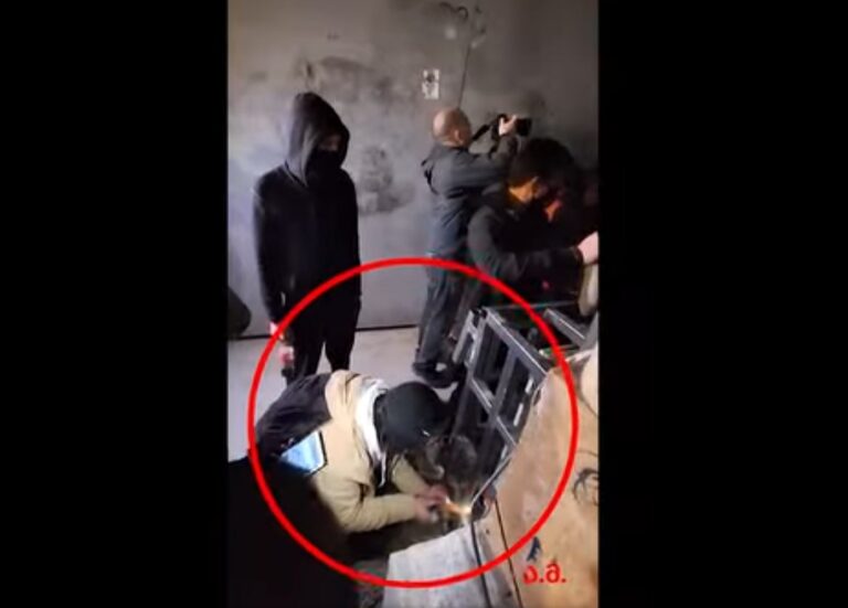 პროკურატურა: არჩილ მუსელიანცმა 29 ნოემბერს თბილისში, პარლამენტის შენობის ფასადზე დამონტაჟებულ ვიდეო-სამეთვალყურეო სისტემას, კაბელებს და საკაბელო ლითონის არხს ცეცხლი წაუკიდა, რამაც 534 ლარის ოდენობით ზიანი გამოიწვია