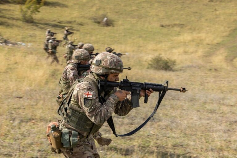 წვევამდელთა უმრავლესობა სამხედრო კარიერის გაგრძელებას თავდაცვის ძალებში გეგმავს