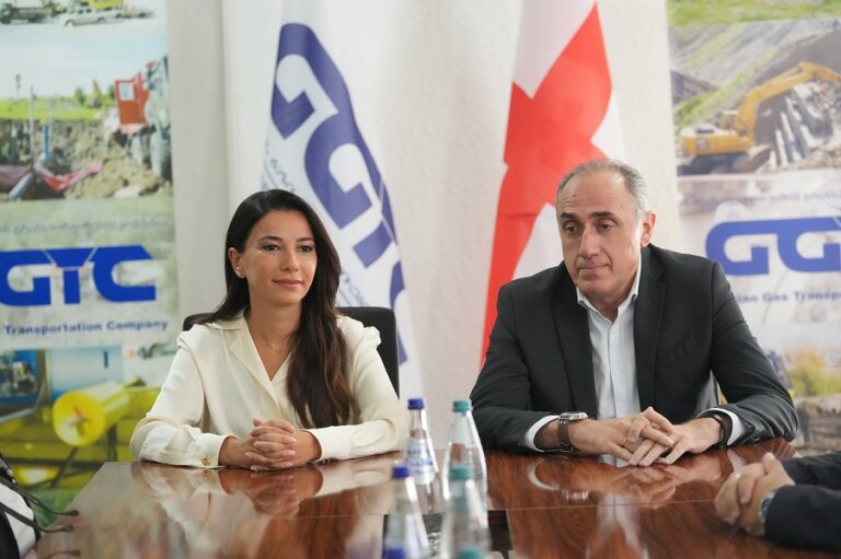 საქართველოს გაზის ტრანსპორტირების კომპანიის გენერალური დირექტორის პოსტზე დავით ვარდიაშვილი წარადგინეს