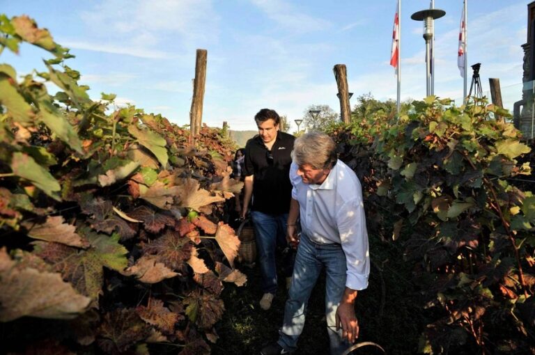 მიხეილ სააკაშვილი: ივანიშვილი აპირებს ჩამომართვას ყვარლის ვენახი, სახლით, რომელიც შევიძინე ჩემი საპრეზიდენტო ხელფასით… მე ვამაყობ, რომ სრულიად უანგაროდ ვემსახურე ჩემს ერს და სხვასაც მივეცი მაგალითი