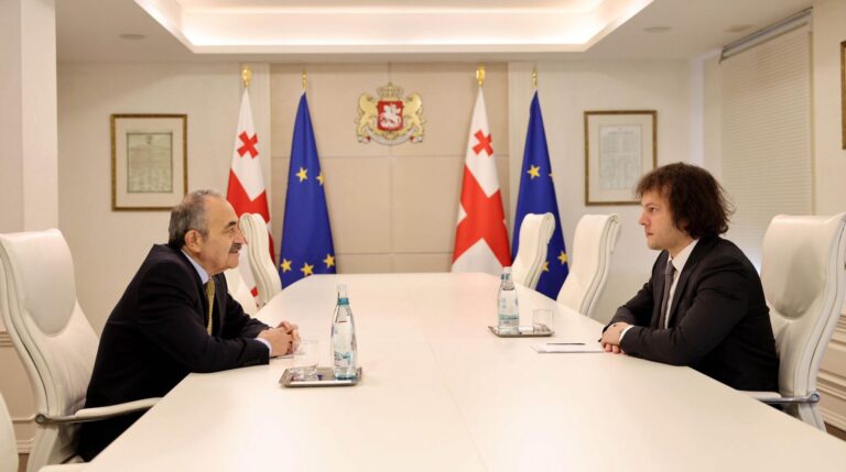 პრემიერ-მინისტრი გერმანიასა და ჩეხეთში საქართველოს ახლად დანიშნულ ელჩებს შეხვდა
