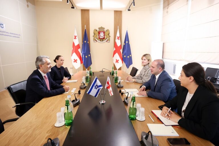 გივი მიქანაძემ ისრაელის სახელმწიფოს საგანგებო და სრულუფლებიან ელჩს უმასპინძლა