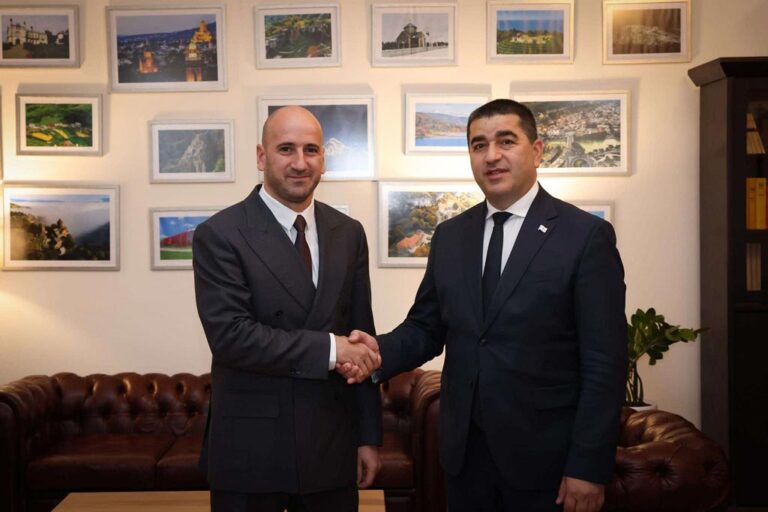 შალვა პაპუაშვილი სომხეთის რესპუბლიკის ეროვნული ასამბლეის დელეგაციას შეხვდა