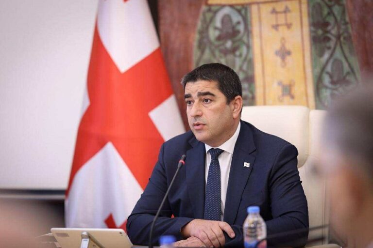 შალვა პაპუაშვილი: იმედი გვაქვს, გერმანიის მთავრობაში დაფიქრდნენ, რომ მოქმედი ელჩის საქართველოში საქმიანობით ხელისუფლებებს შორის ურთიერთობებში მხოლოდ სირთულეები იქმნებოდა