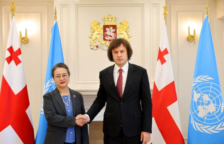 საქართველოს პრემიერ-მინისტრი გაეროს გენერალური მდივნის მოადგილეს შეხვდა