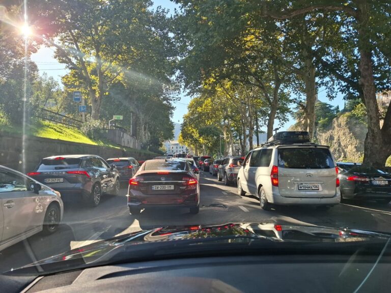 შსს მეტეხის ხიდის მიმდებარე ტერიტორიაზე მომხდარ ფაქტთან დაკავშირებით განცხადებას ავრცელებს