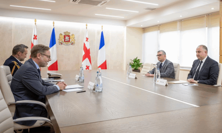 ირაკლი  ჩიქოვანი საფრანგეთის ახლად დანიშნულ ელჩს შეხვდა