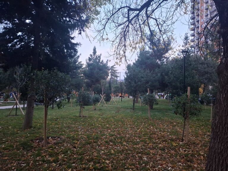 დიდ დიღომში, გიორგი ბრწყინვალეს ქუჩაზე რეკრეაციული სივრცის რეაბილიტაცია დასრულდა