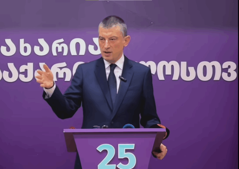 გიორგი გახარიას მიმართ სისხლისსამართლებრივი დევნა დაიწყო