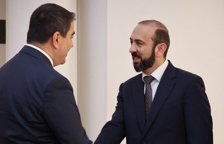 შალვა პაპუაშვილი სომხეთის რესპუბლიკის საგარეო საქმეთა მინისტრს შეხვდა