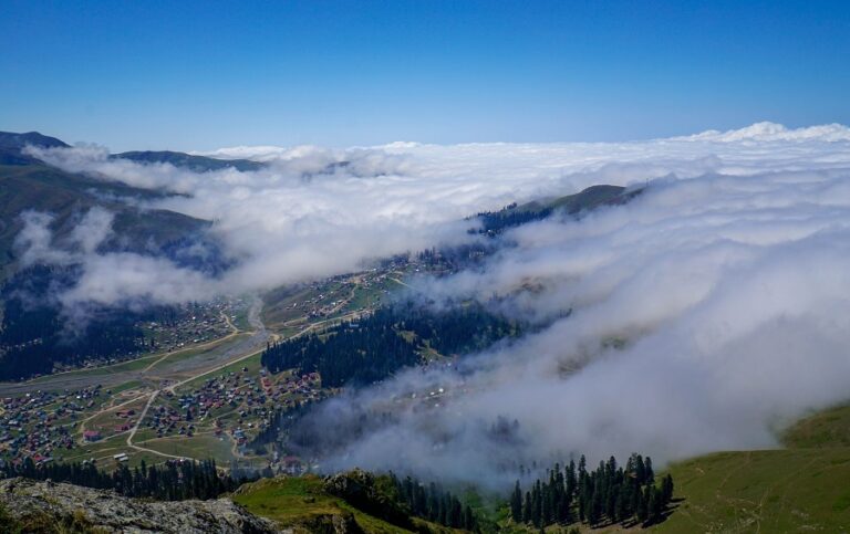 დაბა ბახმაროში, ასევე სხვა საკურორტო ზონებში სახელმწიფოს საკუთრებაში არსებული მიწის ნაკვეთების თვითნებურად დაკავების, უკანონოდ გასხვისებისა და მშენებლობის ფაქტებზე ორი პირი დააკავეს