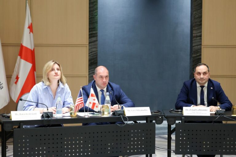 გივი მიქანაძემ სან დიეგოს სახელმწიფო უნივერსიტეტის მრჩეველთა საბჭოს შეხვედრაში მიიღო მონაწილეობა