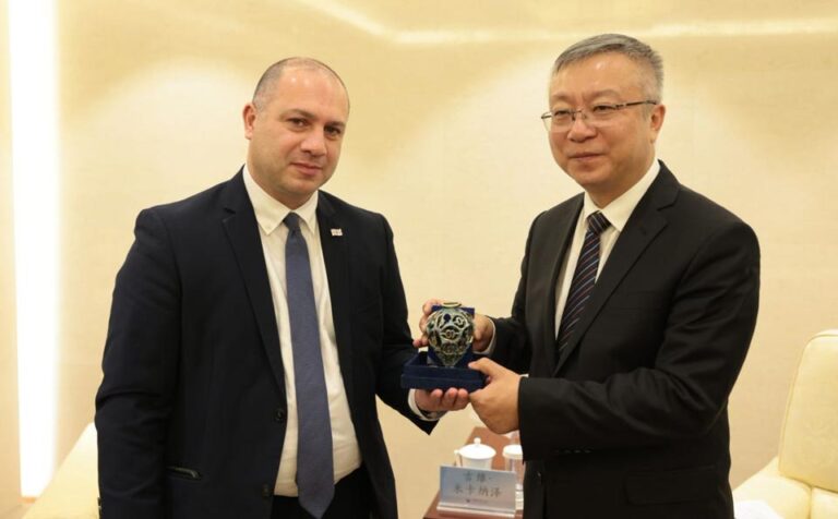 გივი მიქანაძემ ჩინეთის განათლების მინისტრის მოადგილესთან თანამშრომლობის გაფართოების საკითხები განიხილა