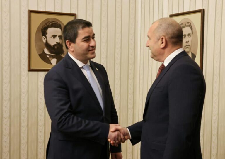 შალვა პაპუაშვილი ბულგარეთის პრეზიდენტს შეხვდა