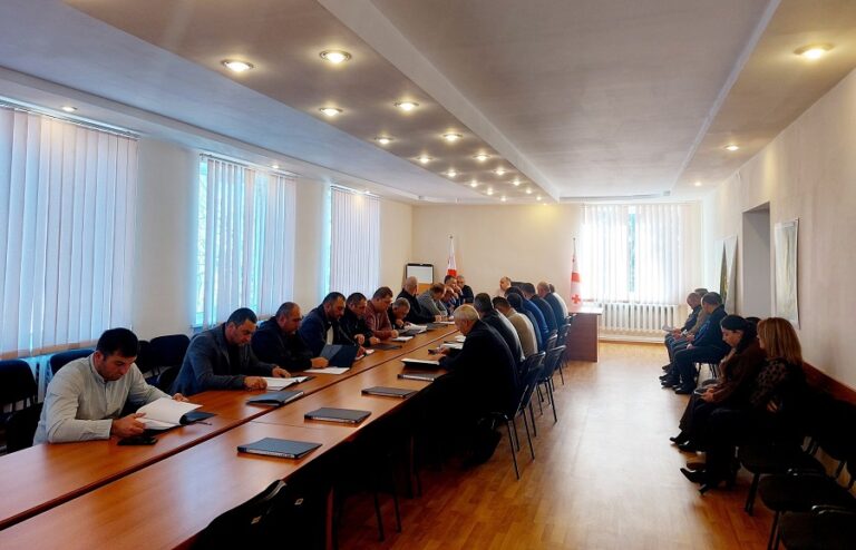 ნინოწმინდის მუნიციპალიტეტის საკრებულოში კომისიებისა და ფრაქციების ერთობლივი სხდომა გაიმართა