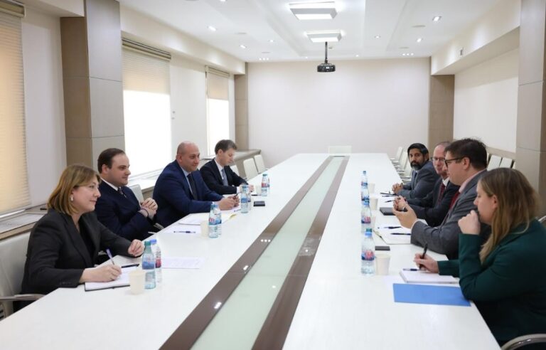 მთავრობის ადმინისტრაციის უფროსი ლევან ჟორჟოლიანი აშშ-ის სახელმწიფო დეპარტამენტის დელეგაციას შეხვდა