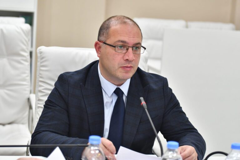 გივი მიქანაძე ოფიციალურ ვიზიტად უნგრეთში გაემგზავრა