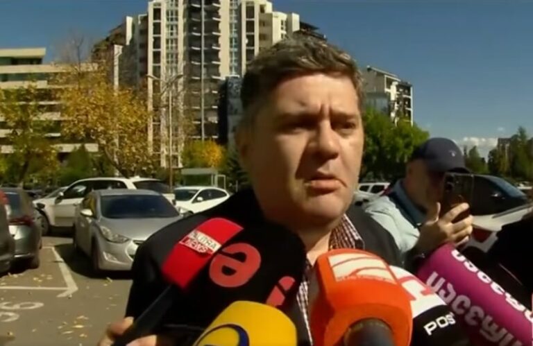 ბაჩანა ახალაიას აღკვეთის ღონისძიების სახით პატიმრობა შეეფარდა