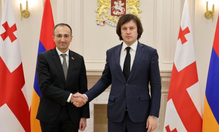 ირაკლი კობახიძე სომხეთის რესპუბლიკის შრომისა და სოციალური დაცვის მინისტრს შეხვდა