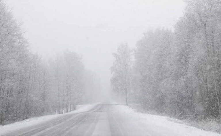 ინტენსიური თოვისა და რთული მეტეოროლოგიური პირობების გამო, საქართველოს საავტომობილო გზების ცალკეულ მონაკვეთებზე დაწესებულია მოძრაობის სპეციალური რეჟიმები