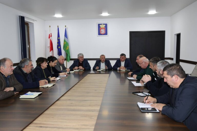 ცაგერის მუნიციპალიტეტის მერმა სტრუქტურული ერთეულების ხელმძღვანელებთან სამუშაო შეხვედრა გამართა