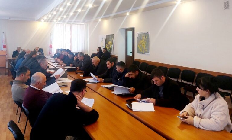 ნინოწმინდის საკრებულოში კომისიებისა და ფრაქციების ერთობლივი სხდომა გაიმართა