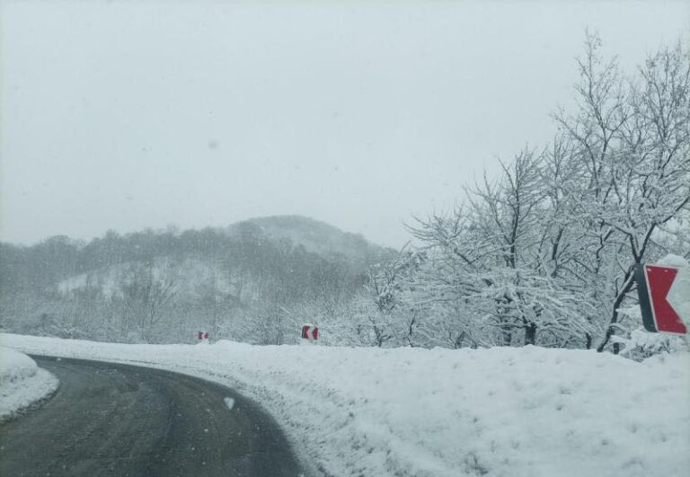 ნიჩბისი-დიდგორი-დიდი თონეთის საავტომობილო გზაზე ყველა სახის ავტოტრანსპორტის მოძრაობა შეიზღუდა