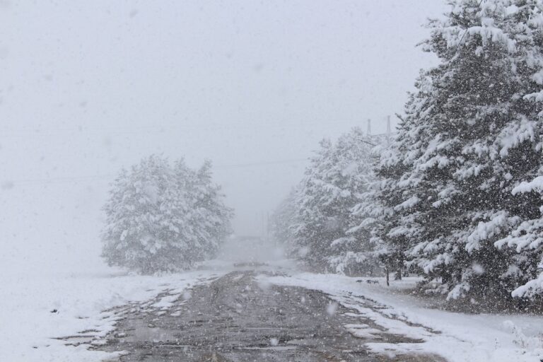 საქართველოში 26 თებერვლიდან 1-ელ მარტამდე მოსალოდნელია წვიმა და თოვლი, ზოგან ძლიერი, ქარბუქი და ზვავსაშიშროება