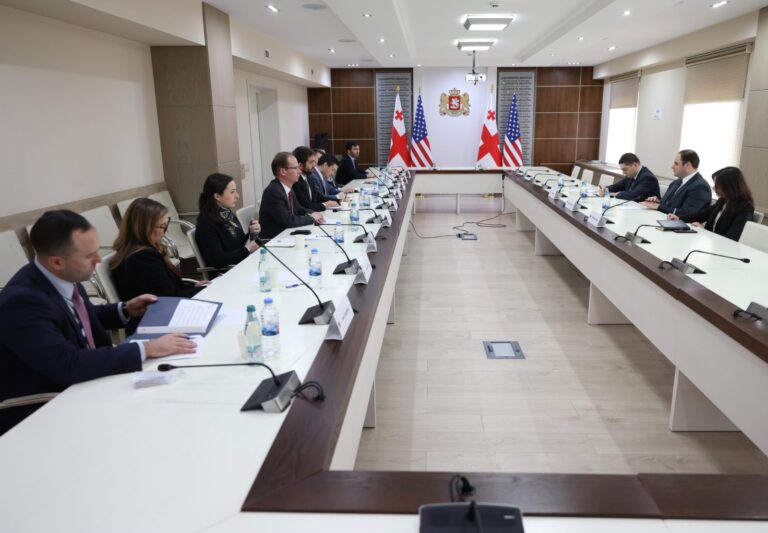 ლევან ჟორჟოლიანი აშშ-ის კონგრესის საგარეო საქმეთა კომიტეტის წარმომადგენლებს შეხვდა