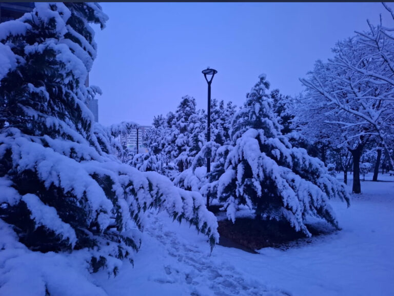 24 იანვრამდე საქართველოში ცივი ამინდი შენარჩუნდება