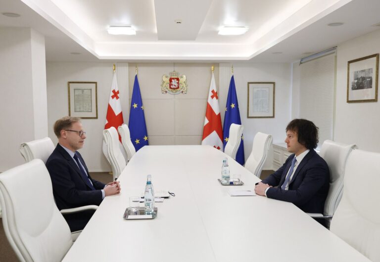 პრემიერ-მინისტრი საქართველოში საფრანგეთის ელჩს შეხვდა