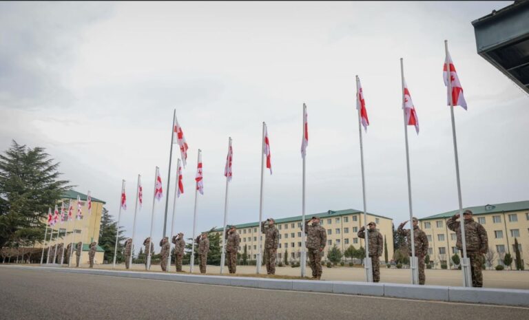 თავდაცვის ძალებში სახელმწიფო დროშის დღე აღინიშნა