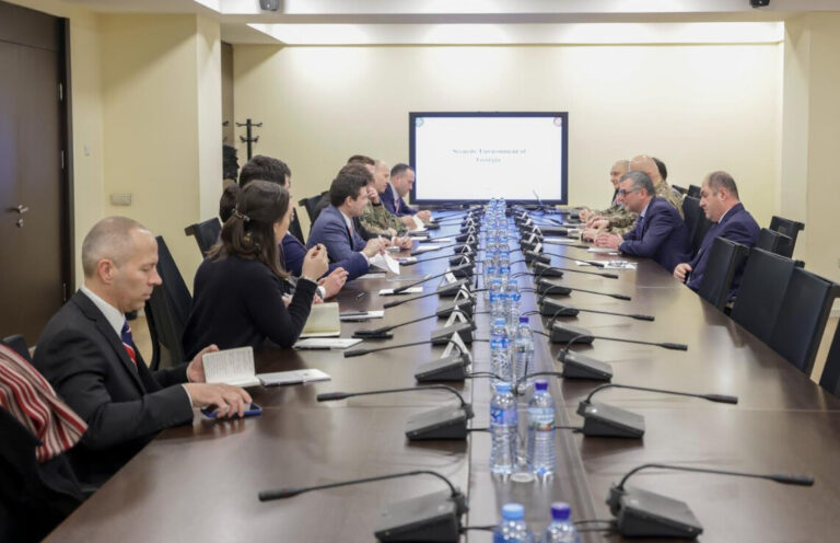 საქართველოს თავდაცვის მინისტრის პირველი მოადგილე აშშ-ის კონგრესის  წარმომადგენელთა პალატის საგარეო საქმეთა კომიტეტის წარმომადგენლებს შეხვდა 