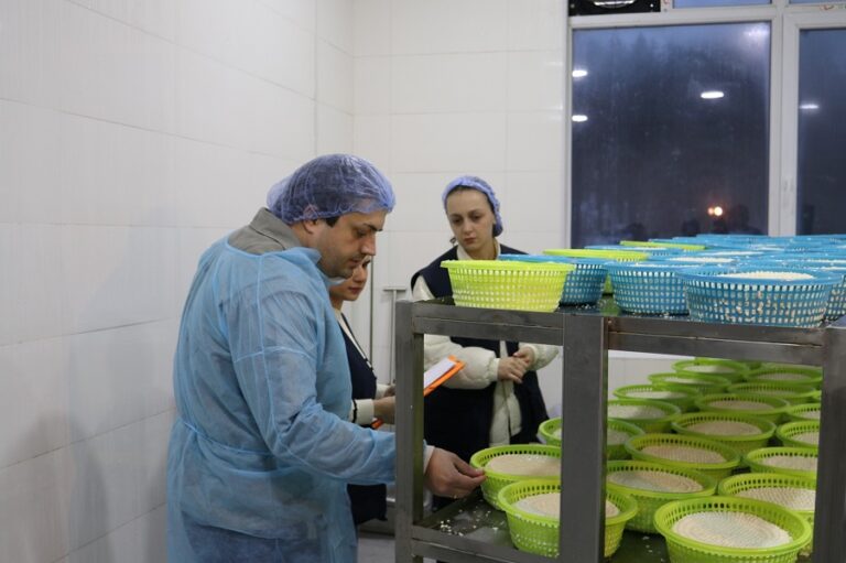 იმერეთში ყველის არალეგალური საწარმოები გამოავლინეს