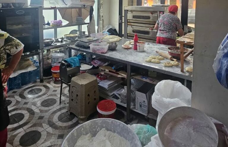 ჩხოროწყუში არალეგალურ კვების ობიექტს საქმიანობა შეუჩერდა – გამოვლინდა არაერთი შეუსაბამობა, მათ შორის, სანიტარიულ-ჰიგიენური ნორმების დარღვევა