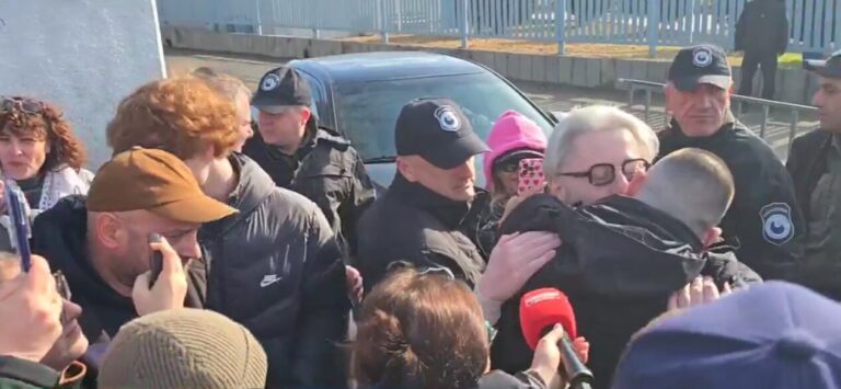 ნიკა გვარამია პატიმრობიდან გათავისუფლდა