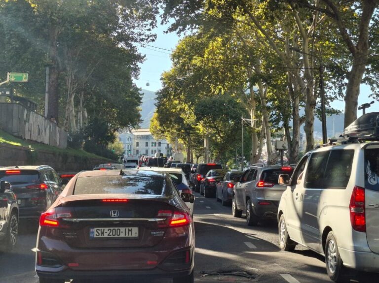 გარემოს დაცვისა და სოფლის მეურნეობის სამინისტრო M1 კატეგორიის მსუბუქ ავტომობილებთან დაკავშირებულ რეგულაციებზე დამატებით განმარტებებს ავრცელებს